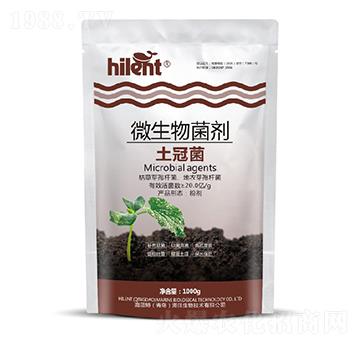 ΢�������-���ھ�-���{��