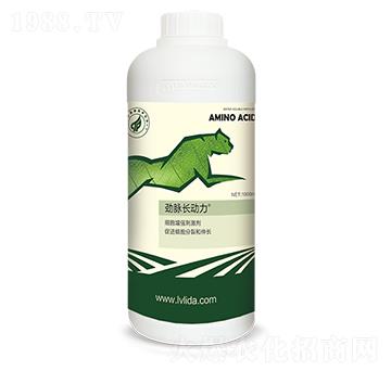 ���������̼���-�L����-���}