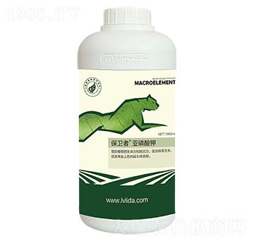 �������-���}