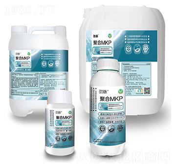 �ۺ�MKP�M��-���}