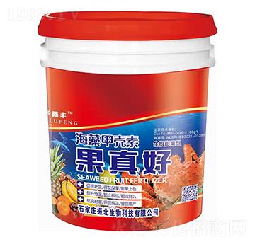 ��������ͺ���ך���-�����-������