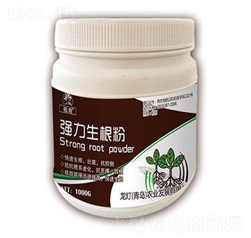 ����������-ֲ�^-�����r(n��ng)�I(y��)