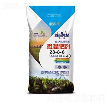 �������28-8-6-����ֵ�-�֝����S