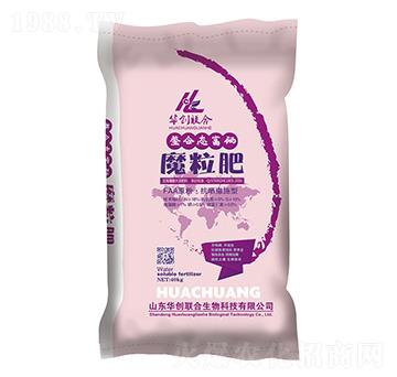 ���ϑB(t��i)����ħ����-�A��(chu��ng)(li��n)��