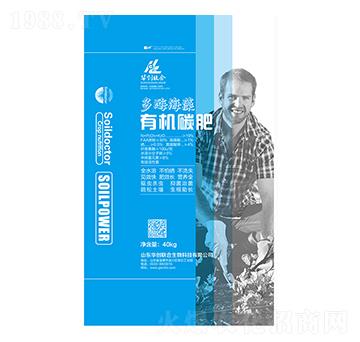 ��ø�����ЙC̼��-�A��(chu��ng)��