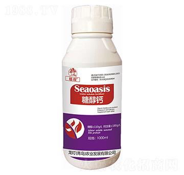 �Ǵ��}-ֲ�^-�����r�I(y��)