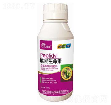 ����������-ֲ�^-�����r(n��ng)�I(y��)