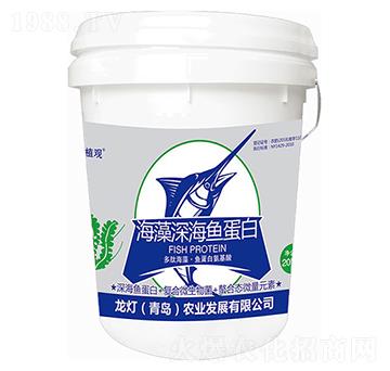 ������~(y��)����-ֲ�^-�����r(n��ng)�I(y��)