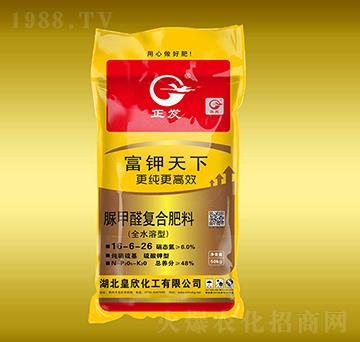 ���ȩ�ͺϷ���16-6-26-�������-����