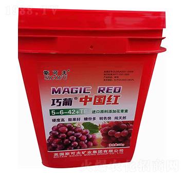 ���ϼt5-6-42+TE-�������