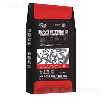 ̼����΢�������-�������