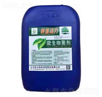 ΢�������-�˽���(d��ng)��-�����r(n��ng)�I(y��)