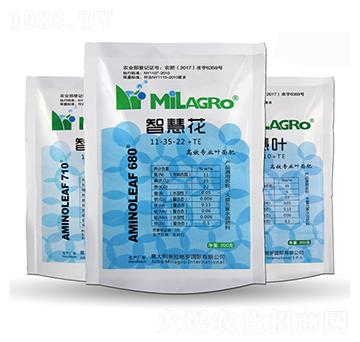 �����~���11-35-22+TE-�ǻۻ�-���h