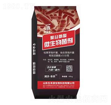 �۹Ȱ���΢�������-���Դ����