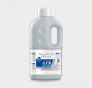 ������(zhu��n)���~���-С̫�(y��ng)-�|չ�r(n��ng)�I(y��)