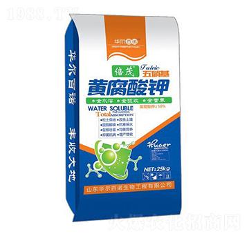 �������S�����-�A�����Z