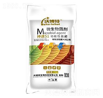 ����51�����Ծ���25-10-16-�ֲ���