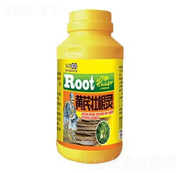 500ml�S�ΉѸ��`-�A�����Z