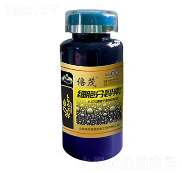 200g��(x��)��������-�A�����Z