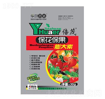 �������������-�A�����Z