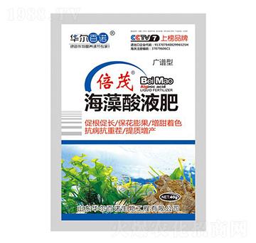 ������Һ��-�A�����Z