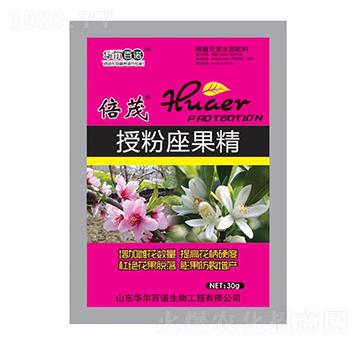 �ڷ�������-�A�����Z