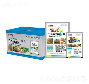 ��������1̖-�A�����Z