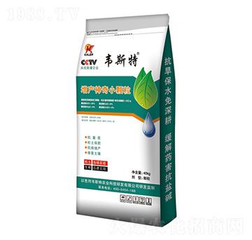 ���a(ch��n)����С�w��-�f˹��-��(l��)�r(n��ng)�I(y��)