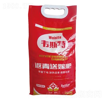 �w���ͼ޷�-�f˹��-��(l��)�r(n��ng)�I(y��)