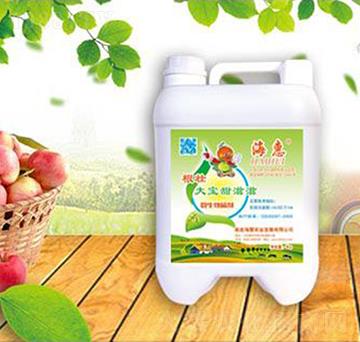 ���Ѵ�������΢�������-����