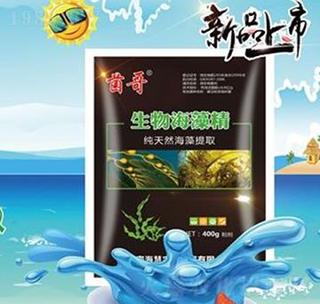 ���ﺣ�徫-����