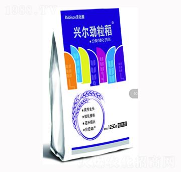 �d��������-�d���r�I(y��)