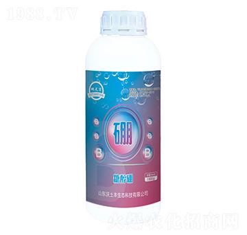 �Ǵ���-�����S���B(t��i)