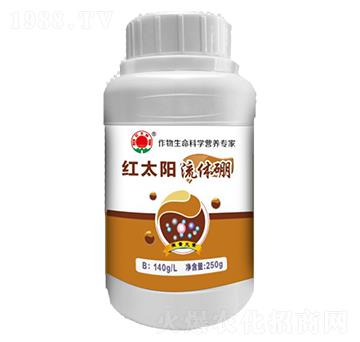 ���w��-�t̫�-�ư����B(t��i)