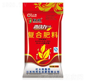 ΢����������(f��)�Ϸ���28