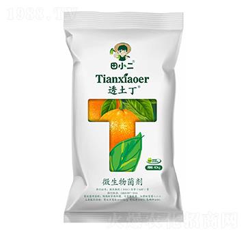 ͸����΢�������-��ʢ�r(n��ng)�I(y��)