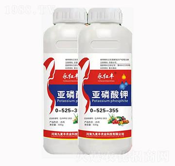 ���t�S�������0-525-355-�����S