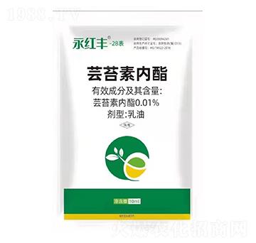 �|̦�؃�(n��i)��-���t�S-�����S