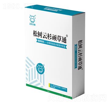 松樹云杉頑草通-正華力致