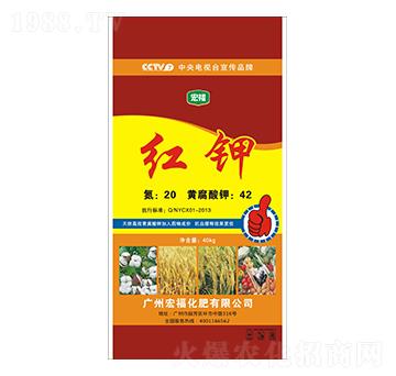 �t�-�������