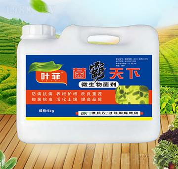 ΢�������-�������-�°��~��