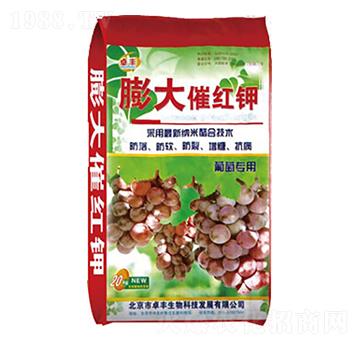 ���ь���-���߼t�-�����ʘI(y��)