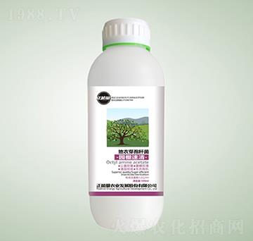 ����ѿ�ߗU����@��-�@������-������