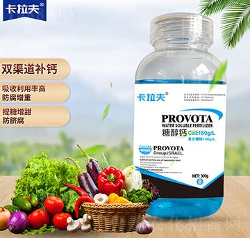 �Ǵ��}-������