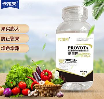 �Ǵ��-������