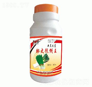 �²˴��[��󿹵���-��ʿ��