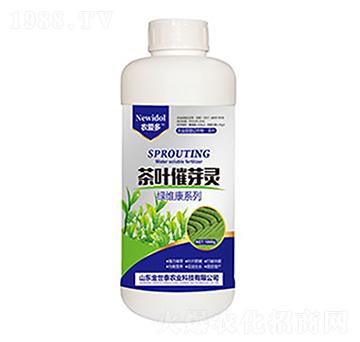 ���~��ѿ�`-����̩