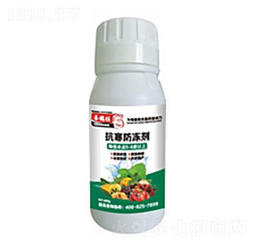 ����������-ϲ����