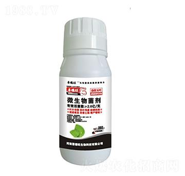 ΢�������-ϲ����