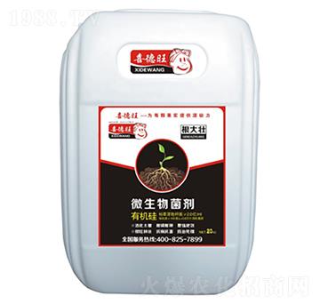 ΢�������-�����-ϲ����